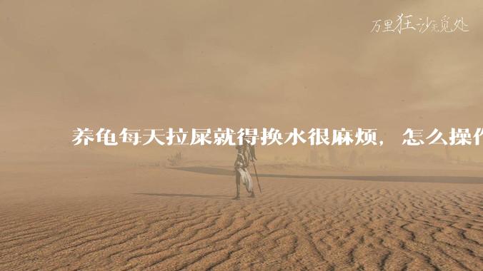 养龟每天拉屎就得换水很麻烦，怎么操作能省点事?