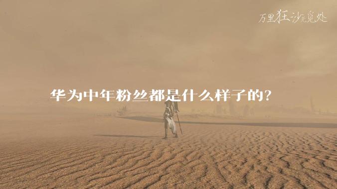 华为中年粉丝都是什么样子的？