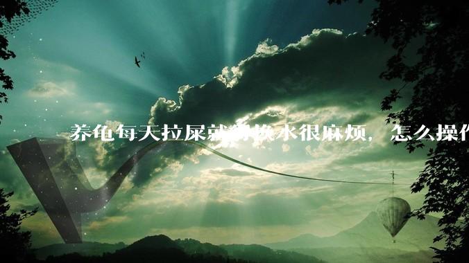 养龟每天拉屎就得换水很麻烦，怎么操作能省点事?