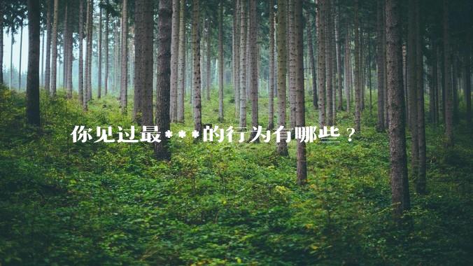 你见过最***的行为有哪些?