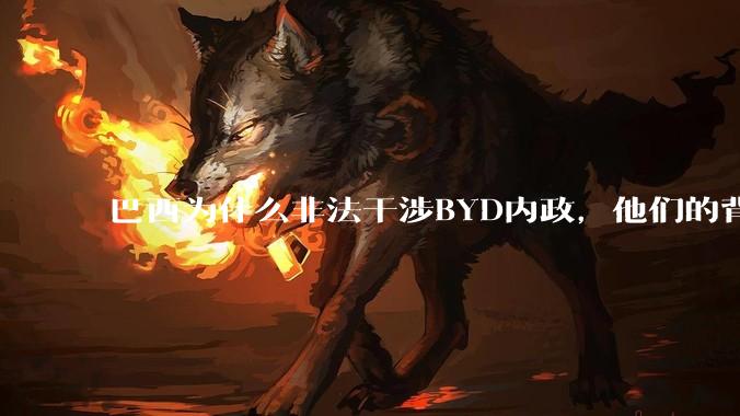 巴西为什么非法干涉BYD内政，他们的背后是谁，目的是什么？