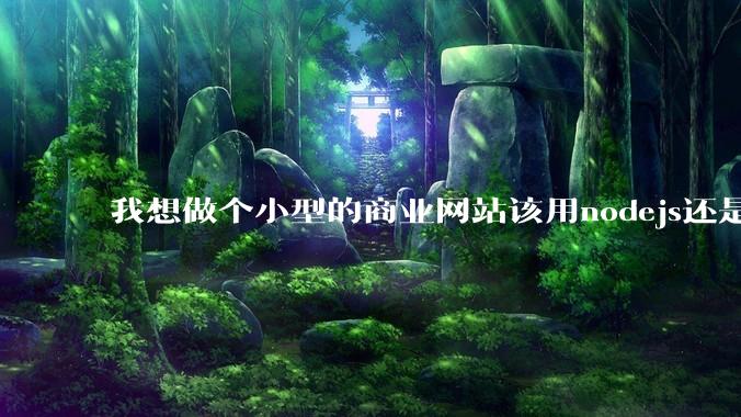 我想做个小型的商业网站该用nodejs还是python做后端？