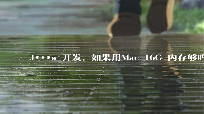 J***a 开发, 如果用Mac 16G 内存够吗?