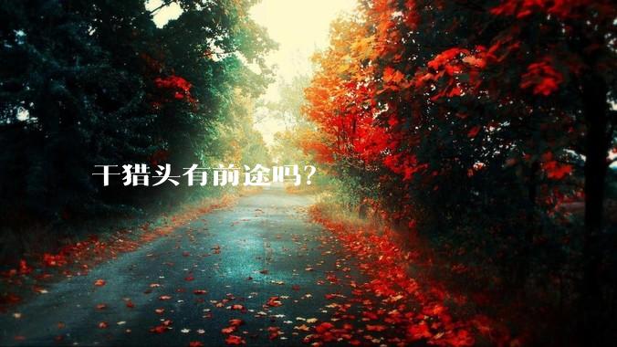 干猎头有前途吗？