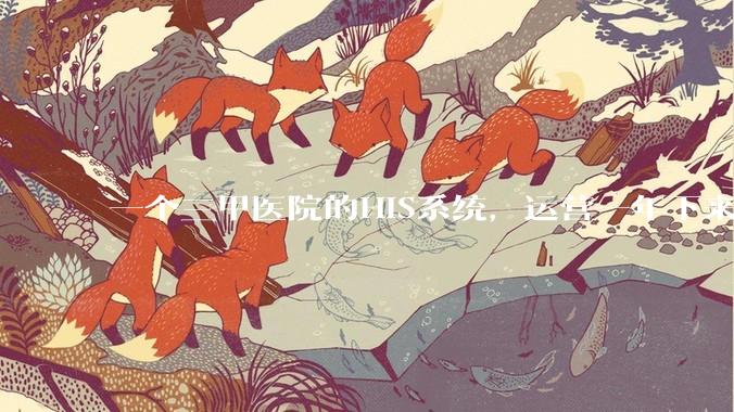 一个三甲医院的HIS系统，运营一年下来，他的数据库能有多大？