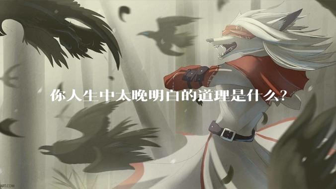 你人生中太晚明白的道理是什么？