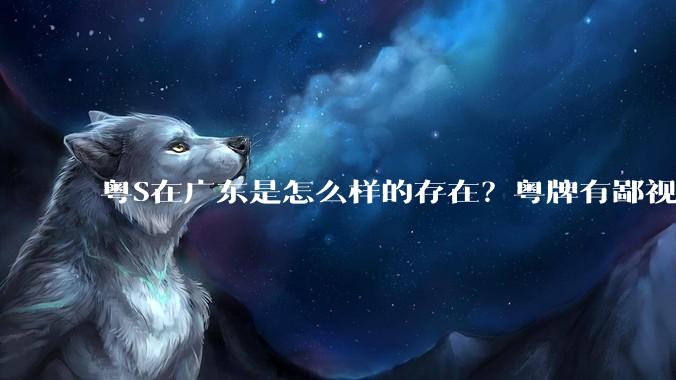 粤S在广东是怎么样的存在？粤牌有鄙视链吗？