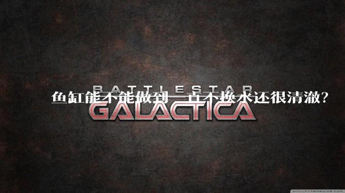 鱼缸能不能做到一直不换水还很清澈？