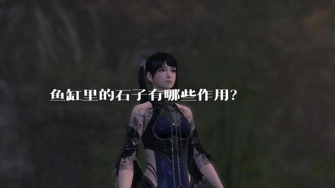 鱼缸里的石子有哪些作用？