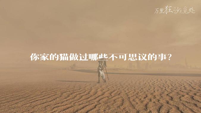 你家的猫做过哪些不可思议的事？