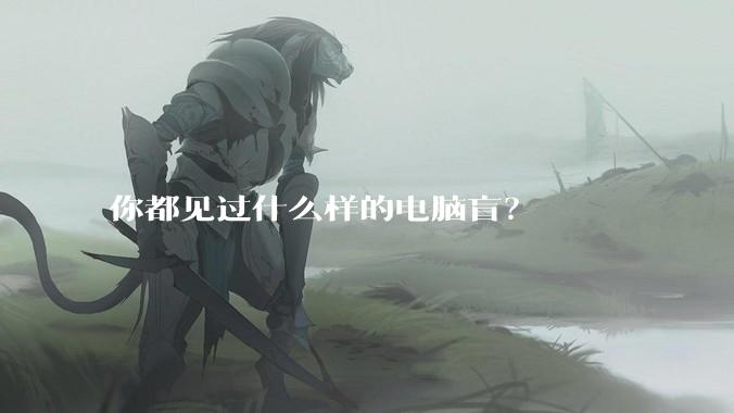 你都见过什么样的电脑盲？