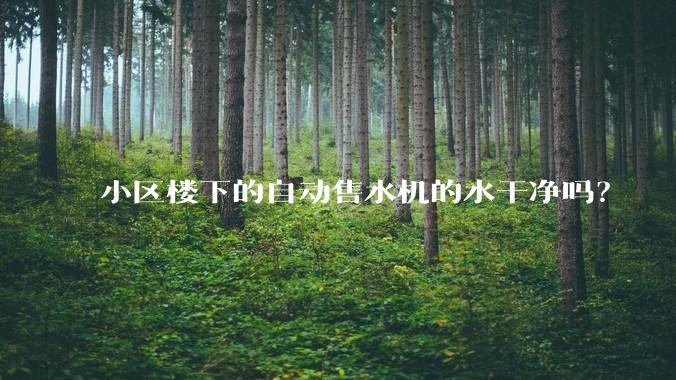 小区楼下的自动售水机的水干净吗？