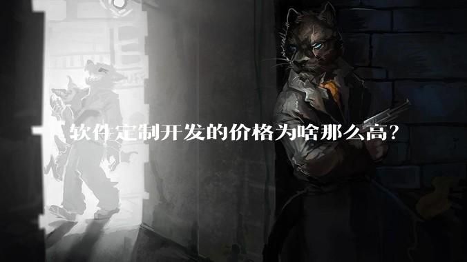 软件定制开发的价格为啥那么高？
