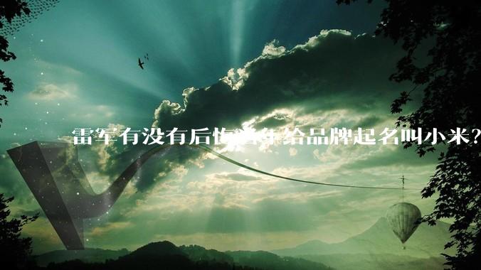 雷军有没有后悔当年给品牌起名叫小米？
