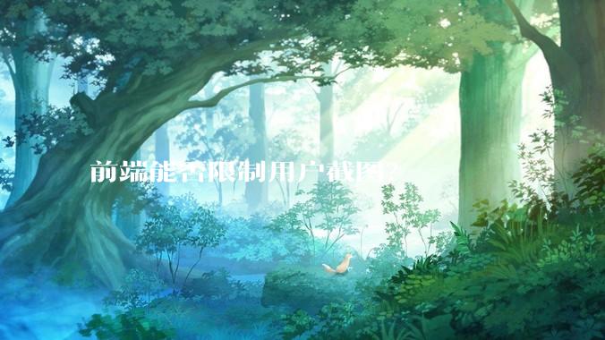 前端能否限制用户截图？
