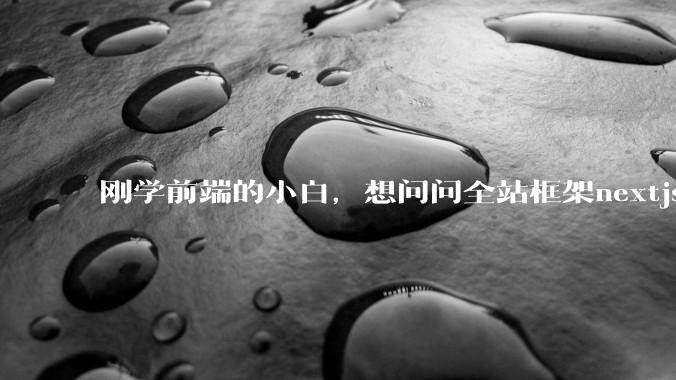 刚学前端的小白，想问问全站框架nextjs+shadcn+prisma为什么在国内不火呢？