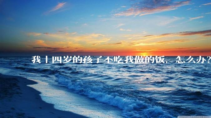 我十四岁的孩子不吃我做的饭，怎么办？