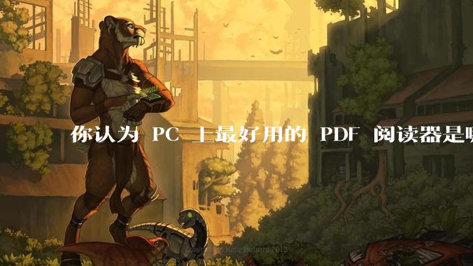 你认为 PC 上最好用的 PDF 阅读器是哪一种？