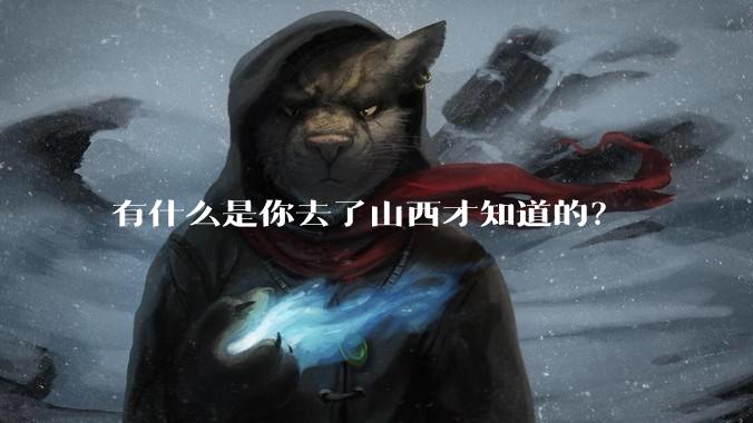 有什么是你去了山西才知道的？
