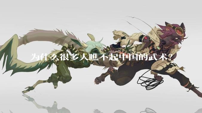 为什么很多人瞧不起中国的武术？