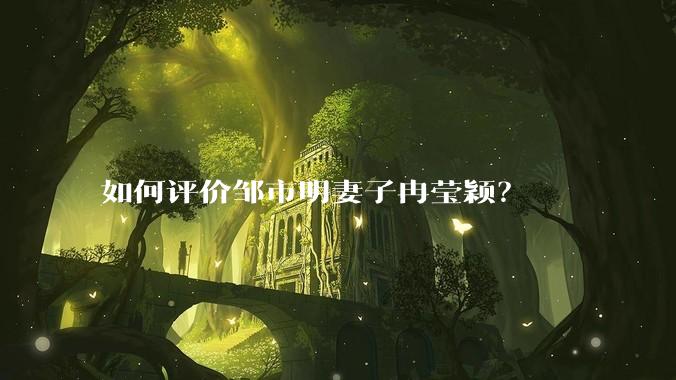 如何评价邹市明妻子冉莹颖？