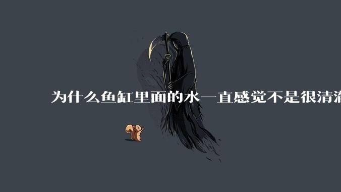 为什么鱼缸里面的水一直感觉不是很清澈呢？