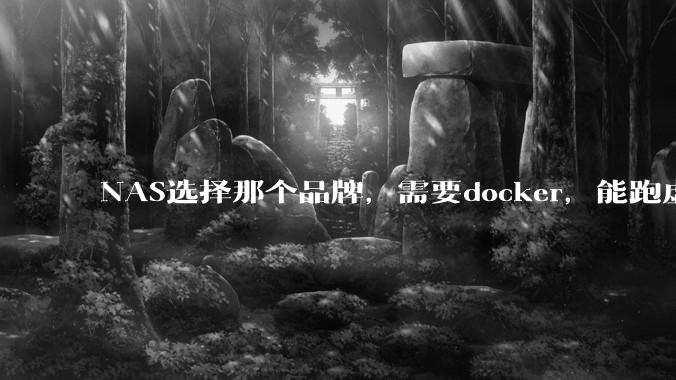 NAS选择那个品牌，需要docker，能跑虚拟机?
