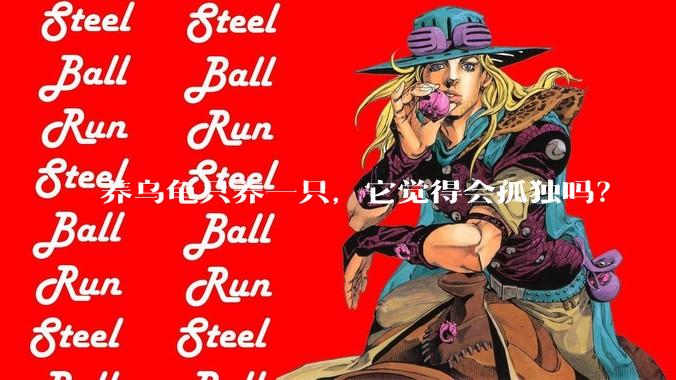 养乌龟只养一只，它觉得会孤独吗？