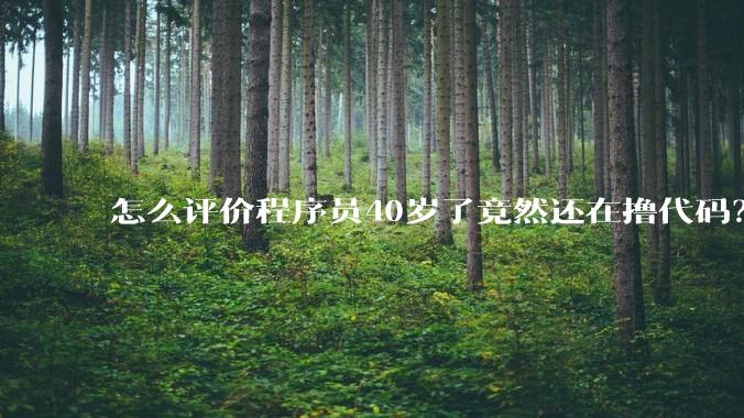 怎么评价程序员40岁了竟然还在撸代码？