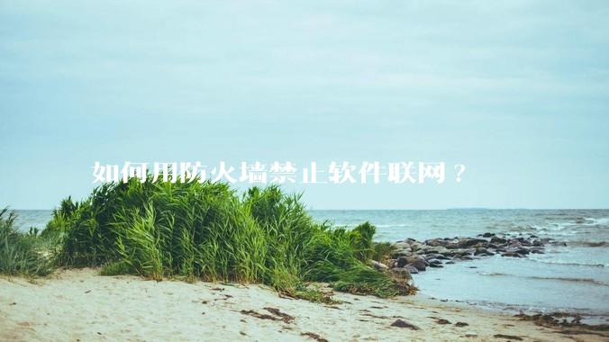 如何用防火墙禁止软件联网?