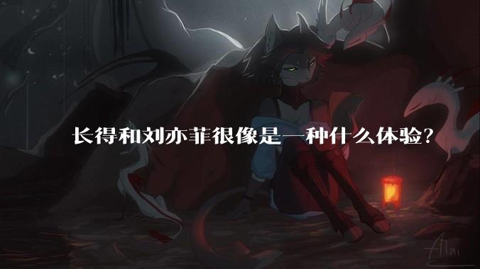 长得和刘亦菲很像是一种什么体验？