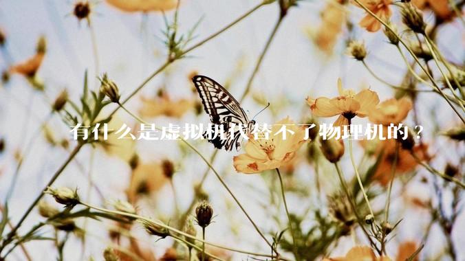 有什么是虚拟机代替不了物理机的?