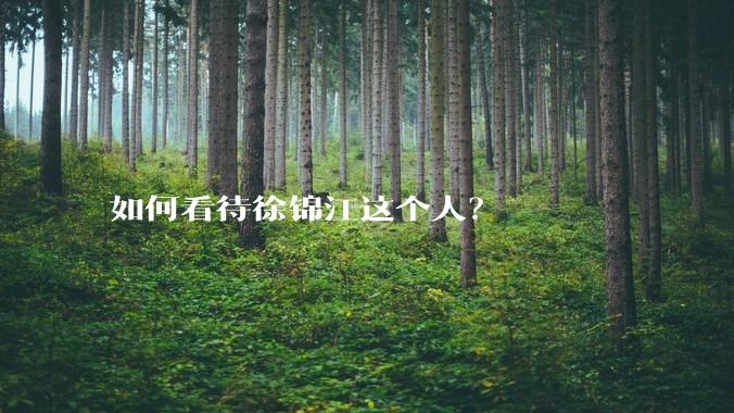 如何看待徐锦江这个人？