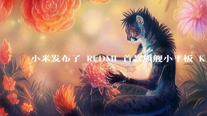 小米发布了 REDMI 首款旗舰小平板 K Pad，仅 8.8 英寸，小巧便携，如何评价这一设计？