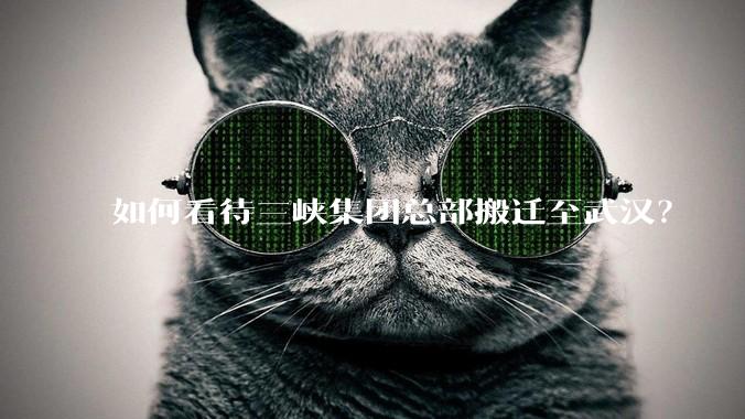 如何看待三峡集团总部搬迁至武汉？