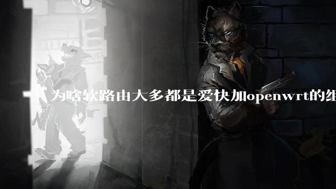 为啥软路由大多都是爱快加openwrt的组合，单openwrt有什么缺点嘛？