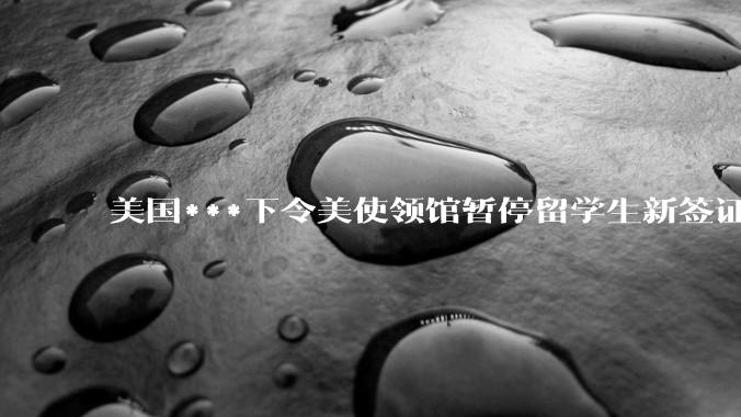 美国***下令美使领馆暂停留学生新签证面谈，将带来哪些影响？美国大学在全球人才竞争中还有优势吗？
