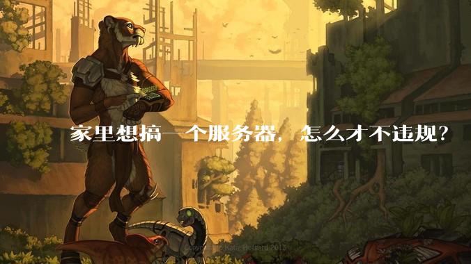 家里想搞一个服务器，怎么才不违规？