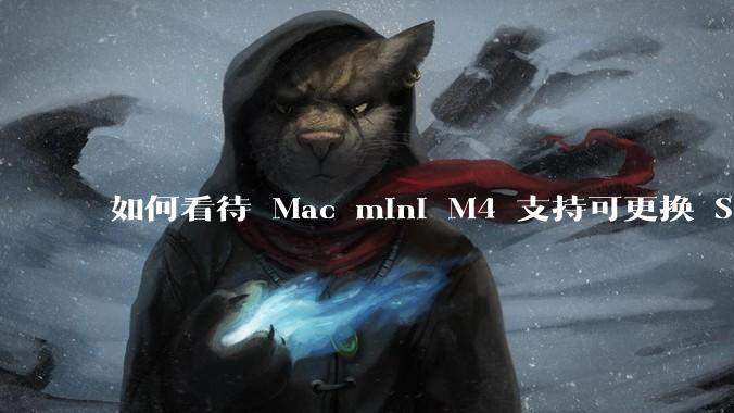 如何看待 Mac mini M4 支持可更换 SSD？
