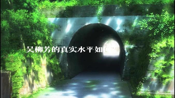 吴柳芳的真实水平如何？