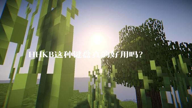 HHKB这种键盘真的好用吗？