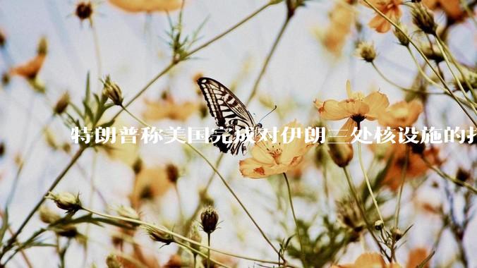 特朗普称美国完成对伊朗三处核设施的打击，具体情况如何？伊朗会如何反击？