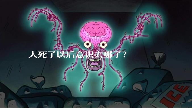 人死了以后意识去哪了？