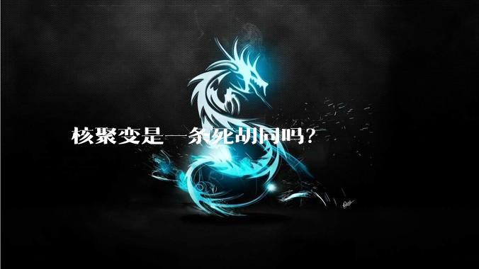 核聚变是一条死胡同吗？