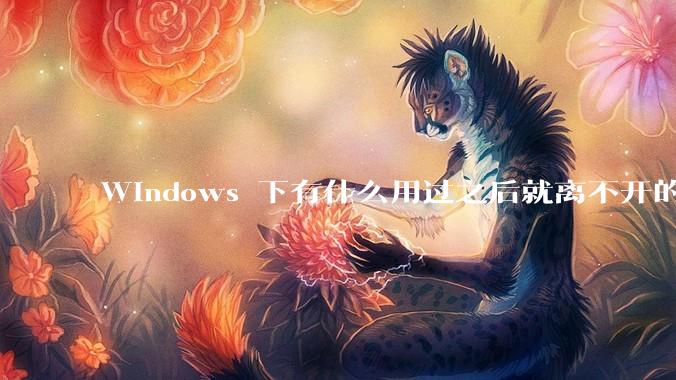 Windows 下有什么用过之后就离不开的冷门软件？