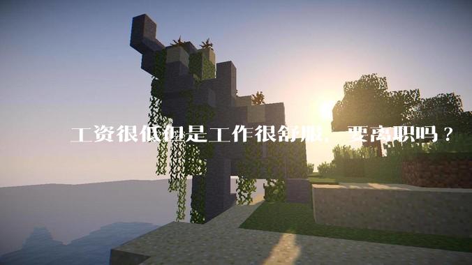 工资很低但是工作很舒服，要离职吗?