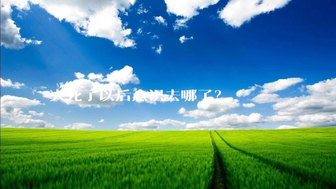 人死了以后意识去哪了？