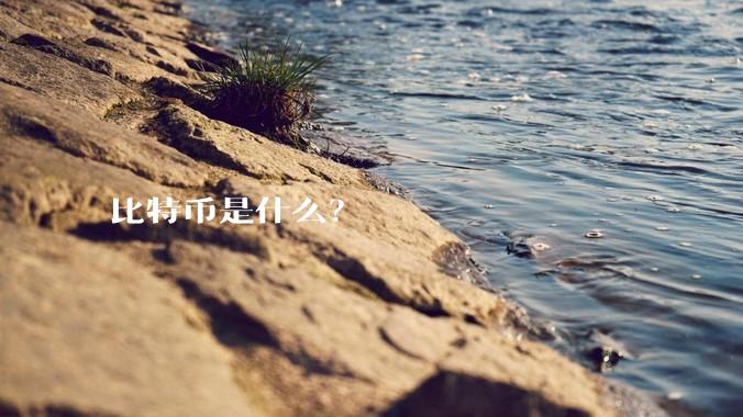 比特币是什么？