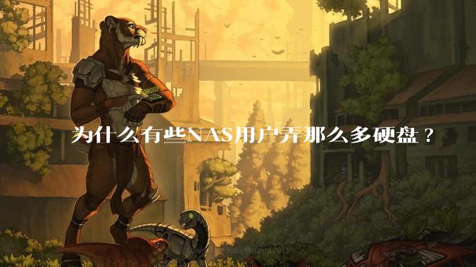 为什么有些NAS用户弄那么多硬盘?