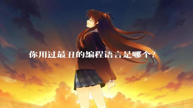 你用过最丑的编程语言是哪个？